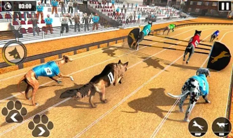 Tham Gia Ngay: Bí Quyết Chinh Phục Game Đua Chó Zik88! 2 Cách chơi game Đua Chó Zik88