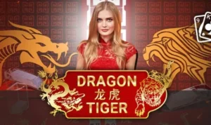 Dragon Tiger tại Zik88